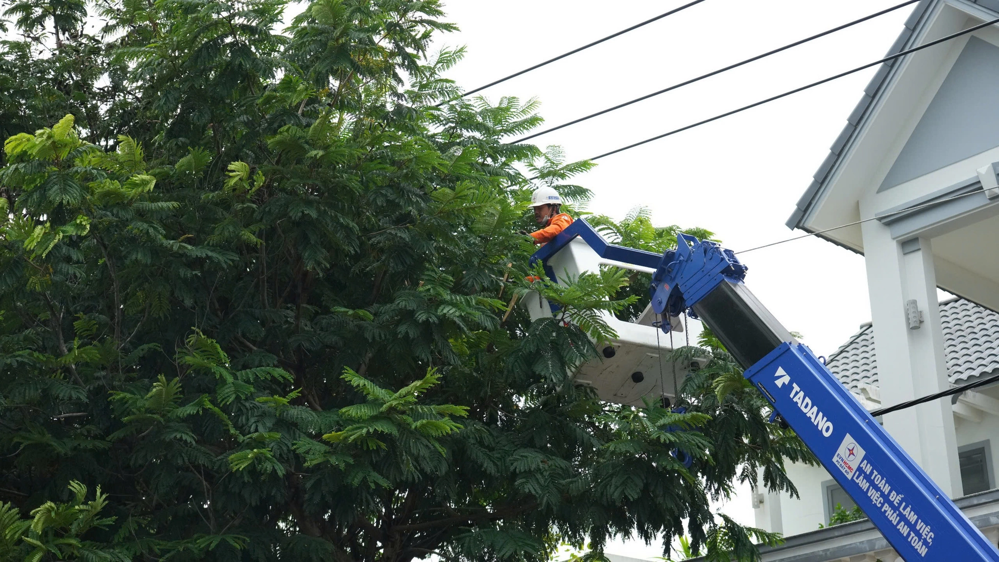 Hình minh họa: EVNHCMC triển khai phương án bảo đảm an toàn điện mùa mưa bão