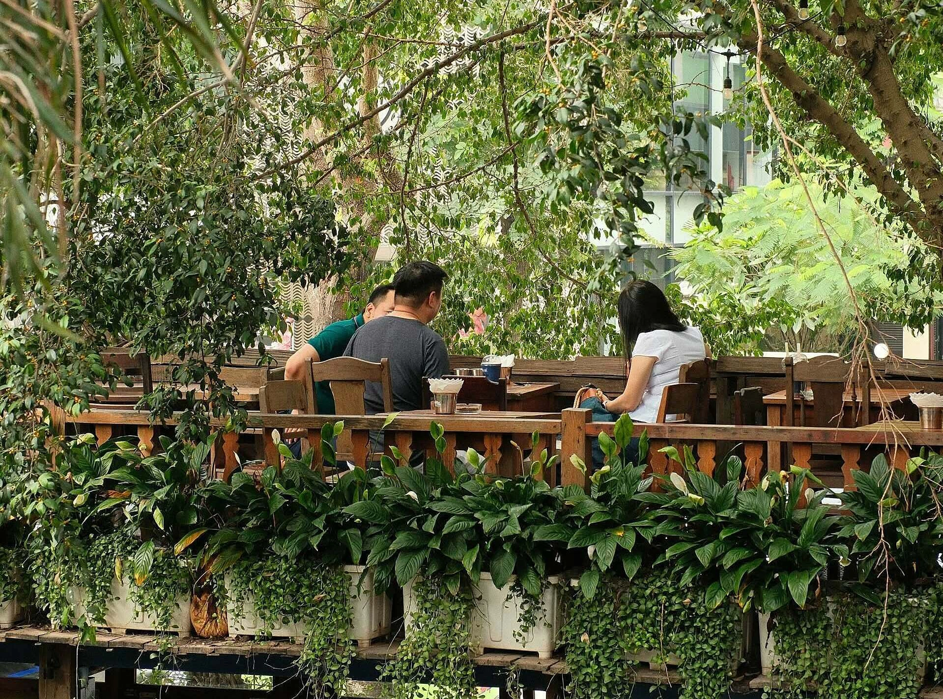 Hình minh họa: 8 quán cà phê sân vườn để tận hưởng thu Hà Nội
