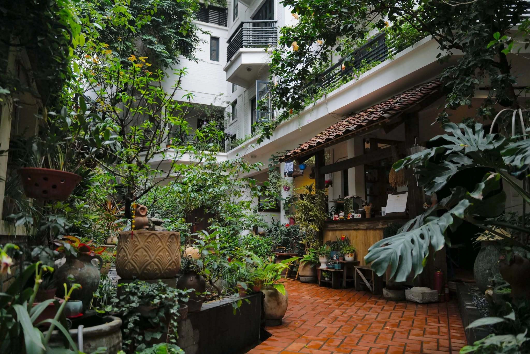 Hình minh họa: 8 quán cà phê sân vườn để tận hưởng thu Hà Nội