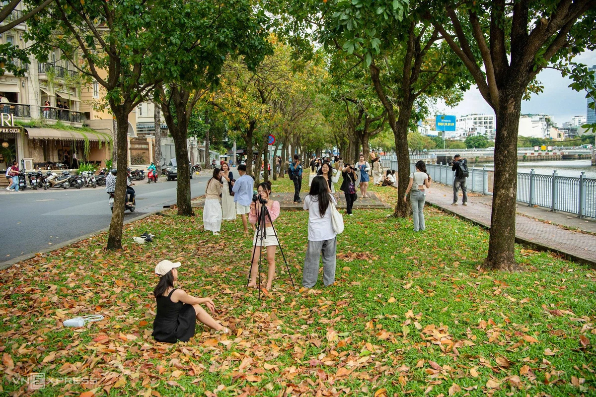 Hình minh họa: Đổ xô đi check in ‘con đường mùa thu’ ở TP HCM