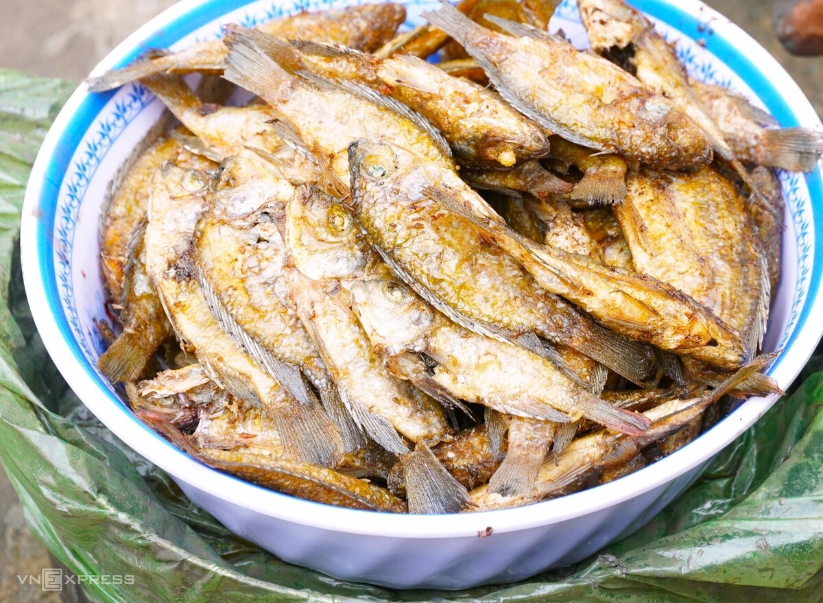 Hình minh họa: Đặt trúm bắt lươn giữa rừng U Minh Hạ