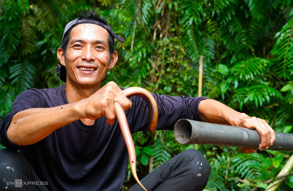 Hình minh họa: Đặt trúm bắt lươn giữa rừng U Minh Hạ