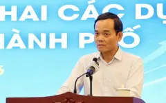 TP HCM theo sát tiến độ tăng trưởng mỗi hai tuần