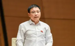 Phó thủ tướng: Sẽ giảm 2% giá bán lẻ điện