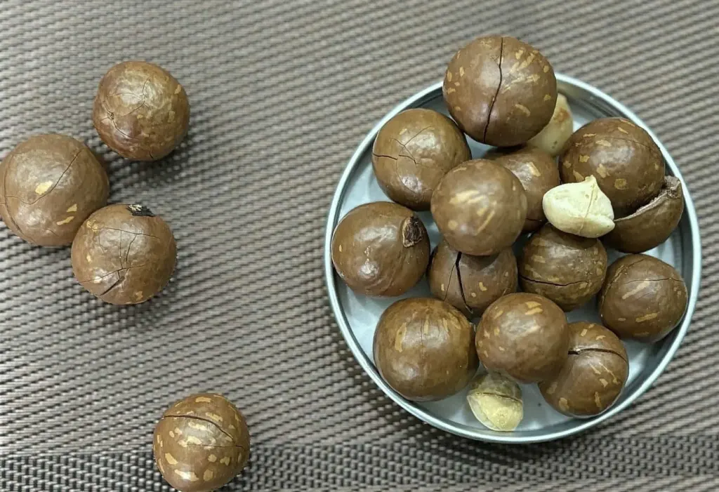 Hình minh họa: Omega-3 tốt cho não bộ thế nào