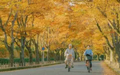 Đến Kyoto mùa thu, ngắm lá đỏ bên những con đường cổ – Báo VnExpress Du lịch