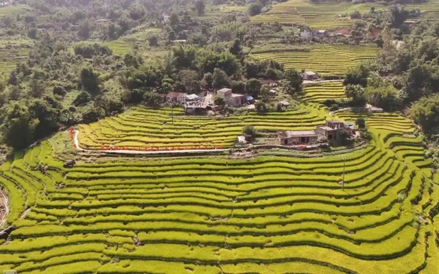 Mùa vàng ở vùng biên Lục Hồn