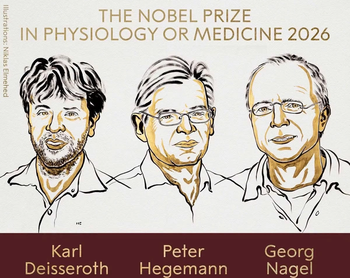 Hình minh họa: Nghiên cứu về quang di truyền học đoạt giải Nobel Y sinh 2026