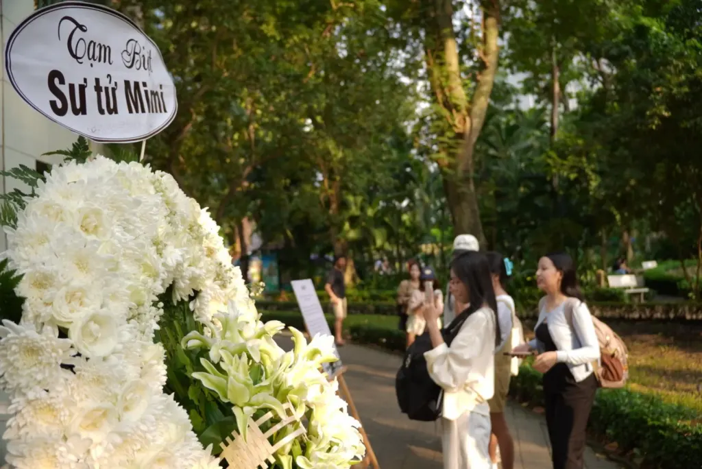 Hình minh họa: Nhiều người đến Thảo Cầm Viên tưởng nhớ sư tử trắng Mimi