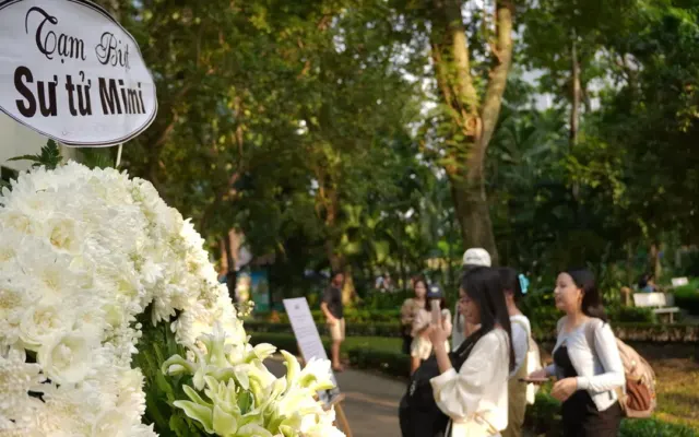 Nhiều người đến Thảo Cầm Viên tưởng nhớ sư tử trắng Mimi