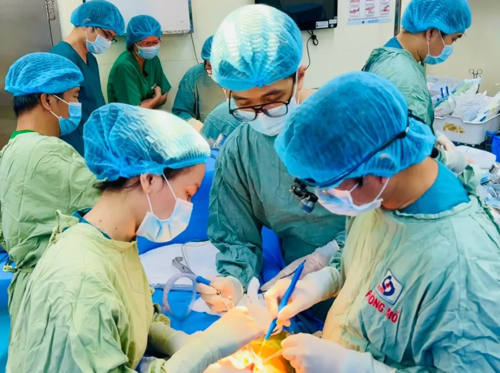 Hình minh họa: Những bóng hồng cầm dao mổ