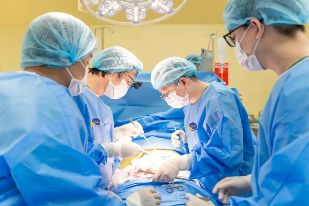 Hình minh họa: Người đàn ông hồi sinh nhờ quả thận của em trai