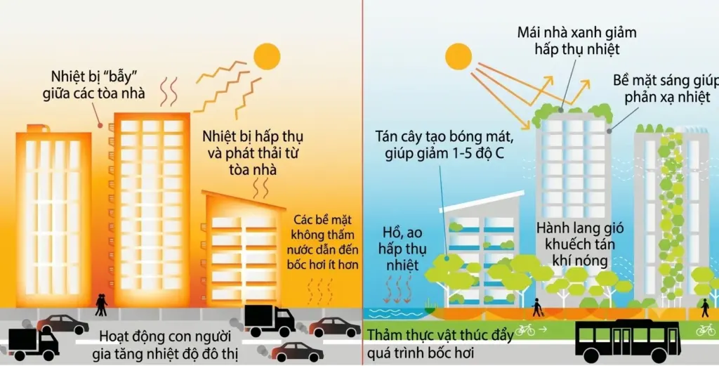 Hình minh họa: Cách cây xanh giúp thành phố mát hơn 5 độ C