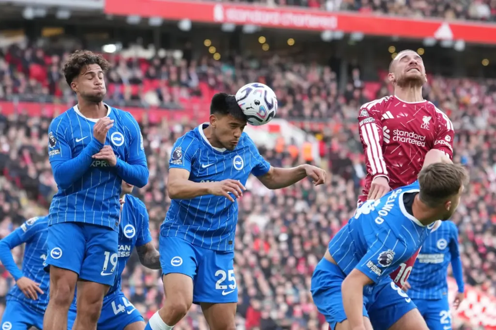 Hình minh họa: Liverpool giải mã Brighton