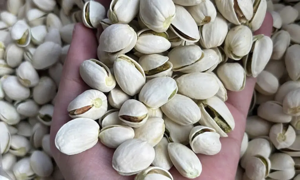 Hình minh họa: 5 loại thực phẩm chuyên gia Mỹ khuyên ăn hàng tuần để sống thọ
