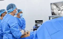 Cắt túi mật có ảnh hưởng đến tiêu hóa?
