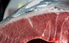Mỹ chi hơn 7.300 tỷ đồng mua cá ngừ Việt