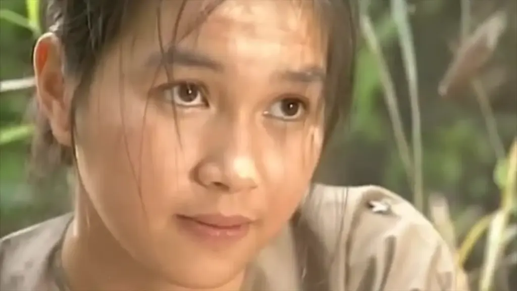 Hình minh họa: Võ Tòng ‘Đất phương Nam’ gây chú ý khi tái xuất