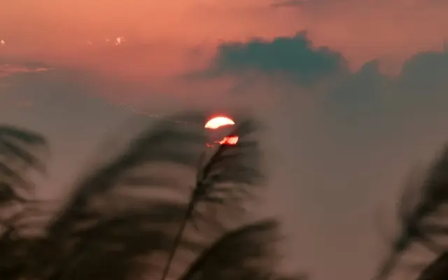Đồi cỏ hồng Bình Liêu ‘đốn tim’ chàng trai Hải Phòng