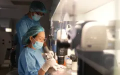Hiếm muộn do hội chứng ‘siêu nữ’