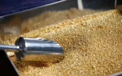 Giá vàng thế giới lao dốc, xuống thấp nhất 2 tháng