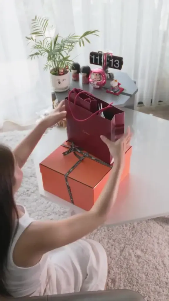 Hình minh họa: Khả Ngân phối đầm bầu với túi hiệu