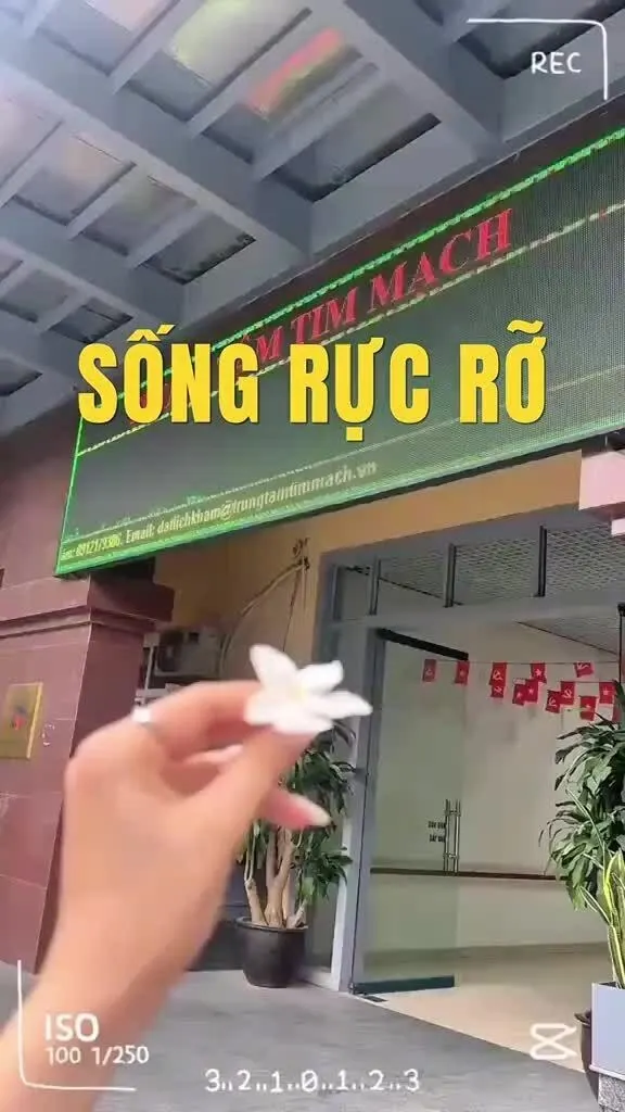 Hình minh họa: Sự tử tế – thông điệp của người trẻ trong bài dự thi ‘Sống rực rỡ’