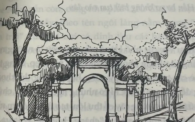 ‘Dấu vân tay của phố’ (kỳ 1): Hà Nội xưa trồng cây gì