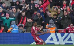 Liverpool giải mã Brighton