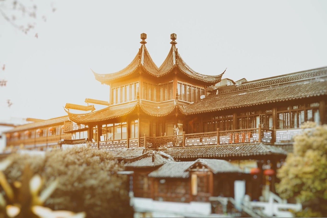 Hình minh họa: Thành phố Trung Quốc nổi tiếng với ‘đại lộ cây tình yêu’ 100 tuổi – Báo VnExpress Du lịch