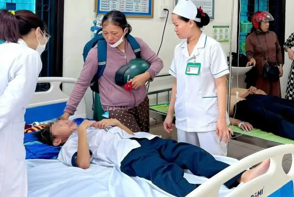 Hình minh họa: 27 học sinh bị ong đốt nhập viện