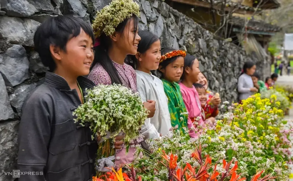 Hình minh họa: Những điểm hoa tam giác mạch nở rộ ở cao nguyên đá Đồng Văn