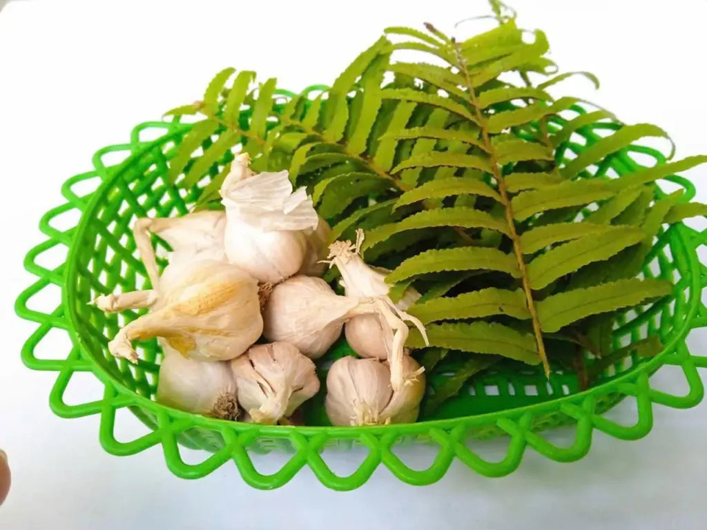 Hình minh họa: Những thời điểm trong ngày hơi thở dễ có mùi