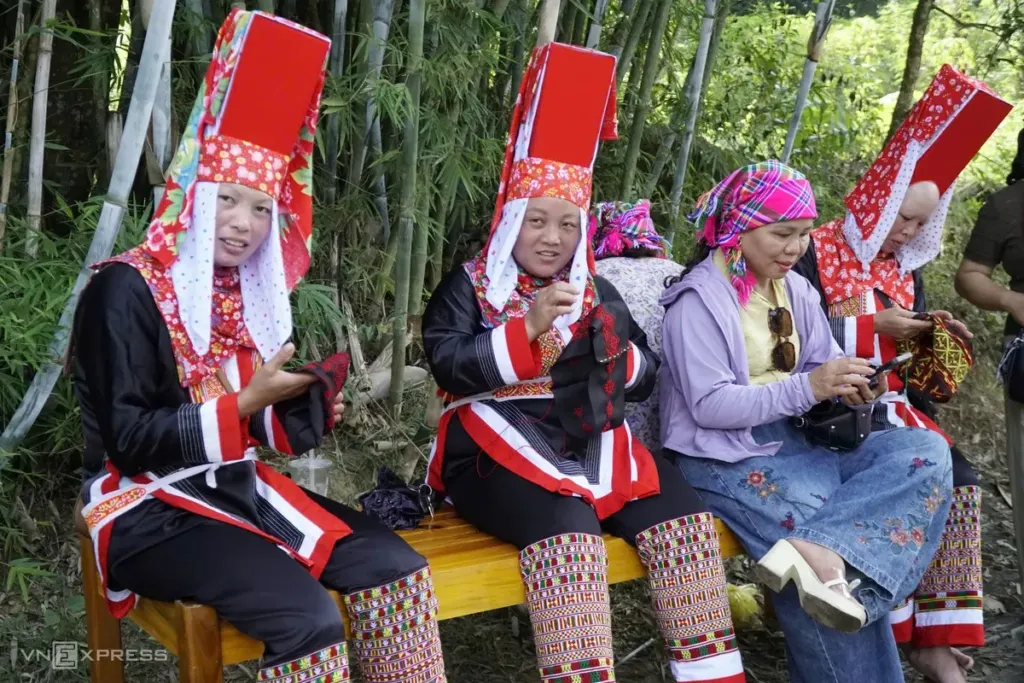 Hình minh họa: Mùa vàng ở vùng biên Lục Hồn