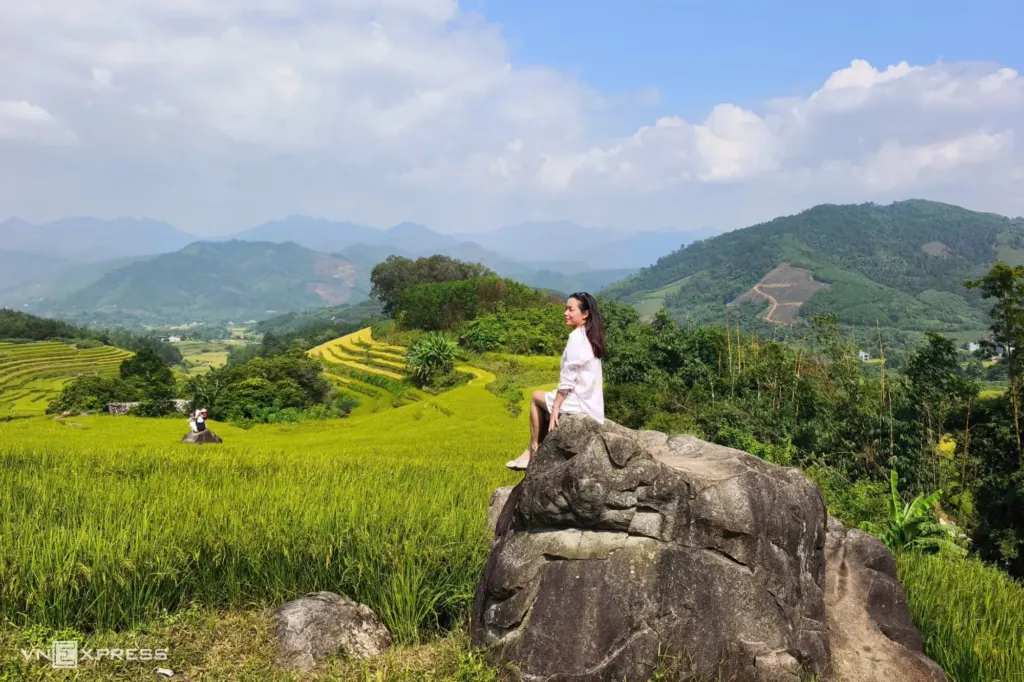 Hình minh họa: Mùa vàng ở vùng biên Lục Hồn