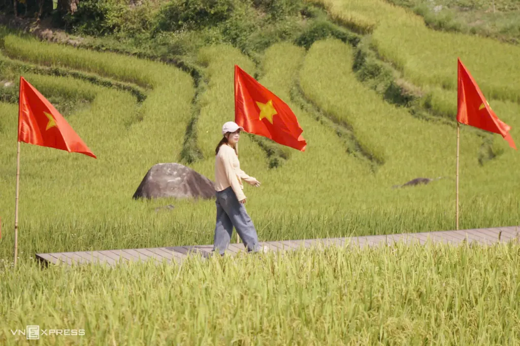 Hình minh họa: Mùa vàng ở vùng biên Lục Hồn
