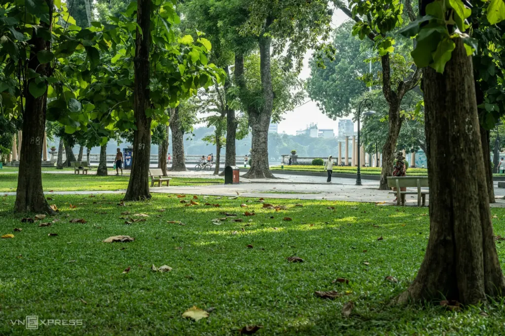 Hình minh họa: Thu vàng trong ‘lá phổi xanh của Hà Nội’