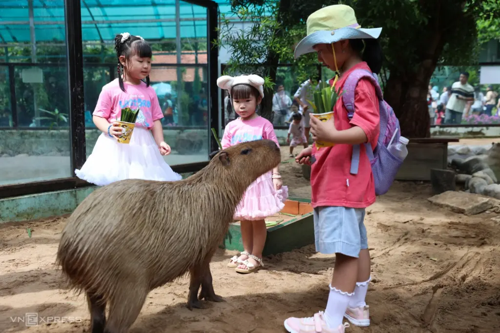 Hình minh họa: Thảo Cầm Viên báo lãi nhờ đón gần 2 triệu lượt khách