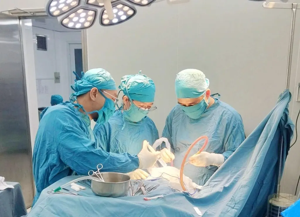 Hình minh họa: Răng hàm xuyên qua sọ nam sinh sau va chạm giao thông